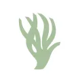 Projecte Posidonia Projecte Posidonia