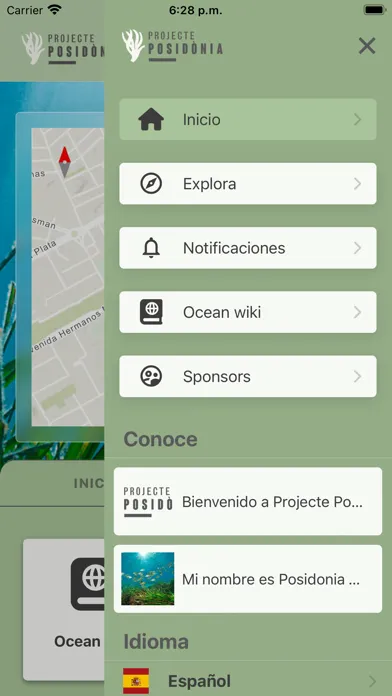 تصاویر Projecte Posidonia