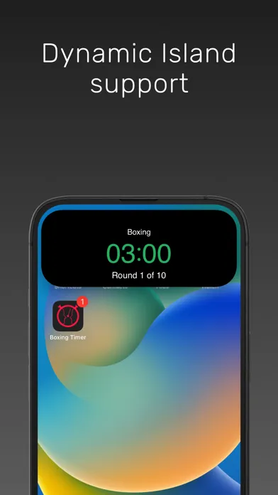 Boxing Timer & Interval Timer 스크린샷