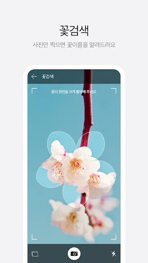 다음 - Daum应用截图