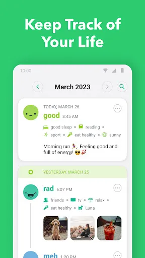Daylio Journal - Mood Tracker 스크린샷