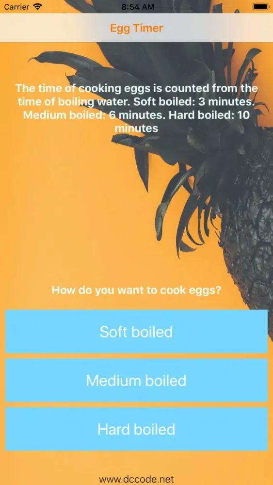 Zrzuty ekranu Egg Timer 2017
