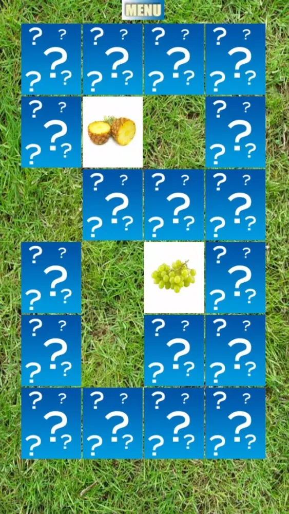 Fruits Match HD应用截图