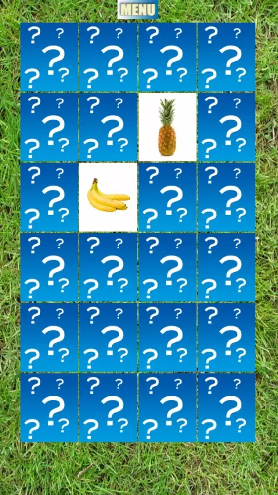 Fruits Match HD应用截图