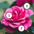 Painting & Color by Numbers Painting & Color by Numbers