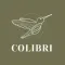 COLIBRI studio