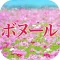 美容カイロ ボヌール 公式アプリ