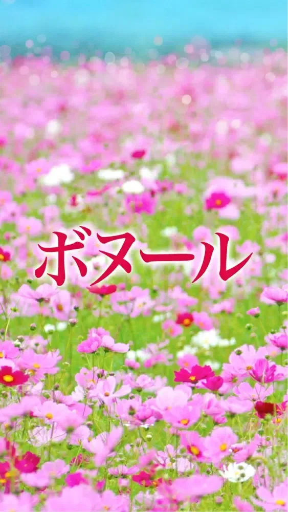 美容カイロ　ボヌール　公式アプリ應用截圖