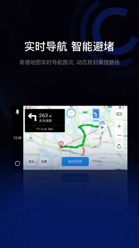 驾驶伴侣應用截圖