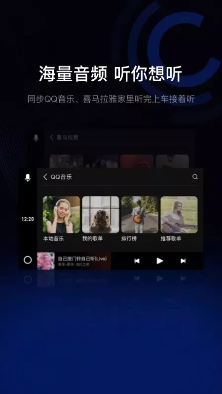 驾驶伴侣應用截圖