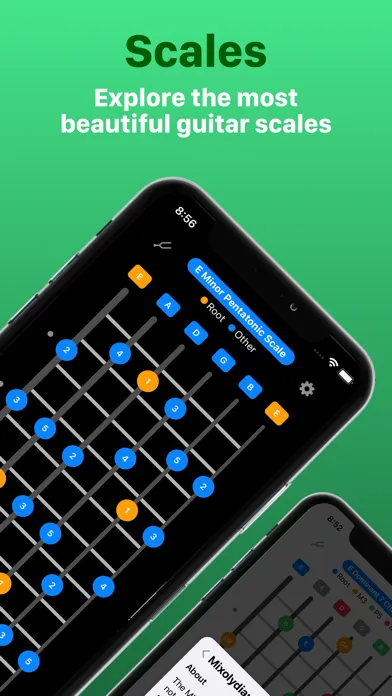 Fretboards Screenshots