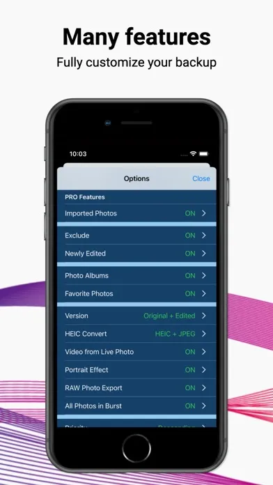 Screenshot di Photo Backup for Synology