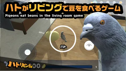 ภาพหน้าจอของ ハトリビング｜鳩がリビングで豆を食べるゲーム