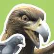 ゆっくりハトジャンプ 　簡単すぎるジャンプゲーム