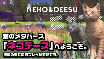 تصاویر NEKODEESU - Cat Metaverse