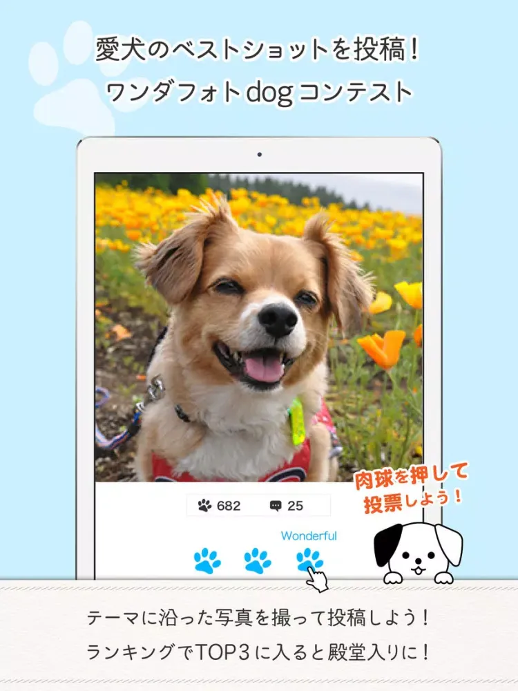 ワンダホー - 愛犬ポータル iPad  スクリーンショット