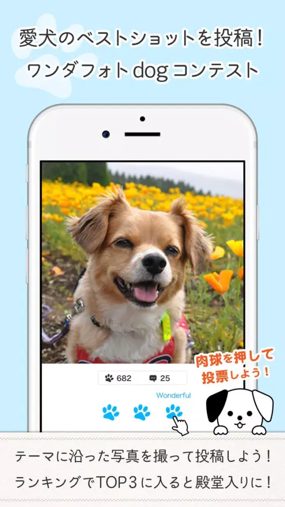 ワンダホー - 愛犬ポータル スクリーンショット