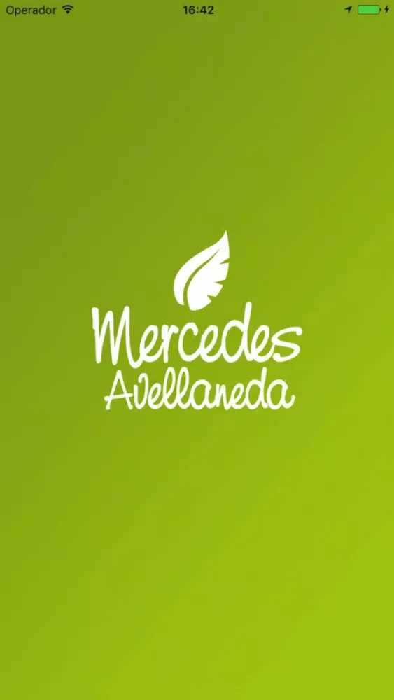 Ảnh chụp màn hình của Mercedes Avellaneda