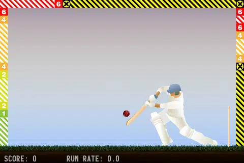 Tangkapan skrin Little Master Cricket