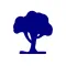 Learnalist: Flashcards