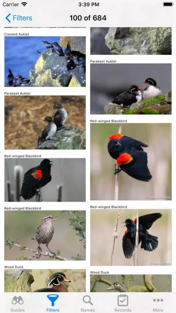 Screenshot di Canadian Birds