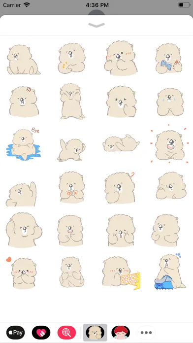 Tangkapan layar Cute Polar Bear