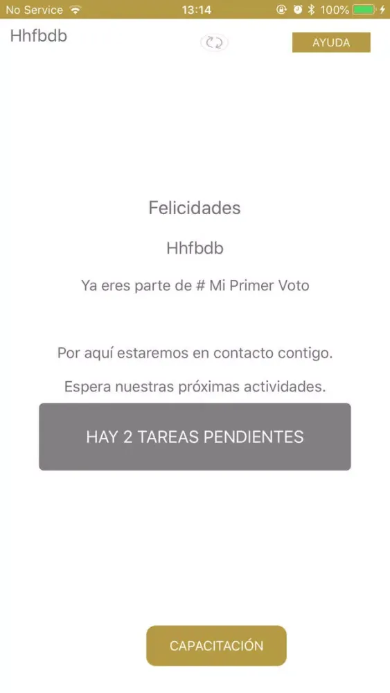 ภาพหน้าจอของ Mi Primer Voto