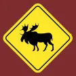 Driving Test Canada • 2024 Driving Test Canada • 2024