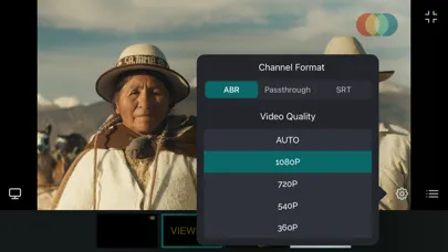 Screenshot di RePro Stream Viewer
