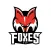 HCB Foxes