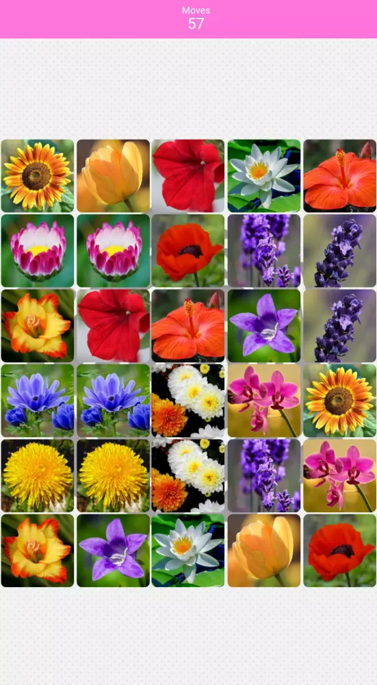 Screenshot di Pairs Flowers