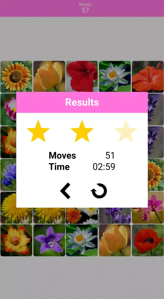Screenshot di Pairs Flowers
