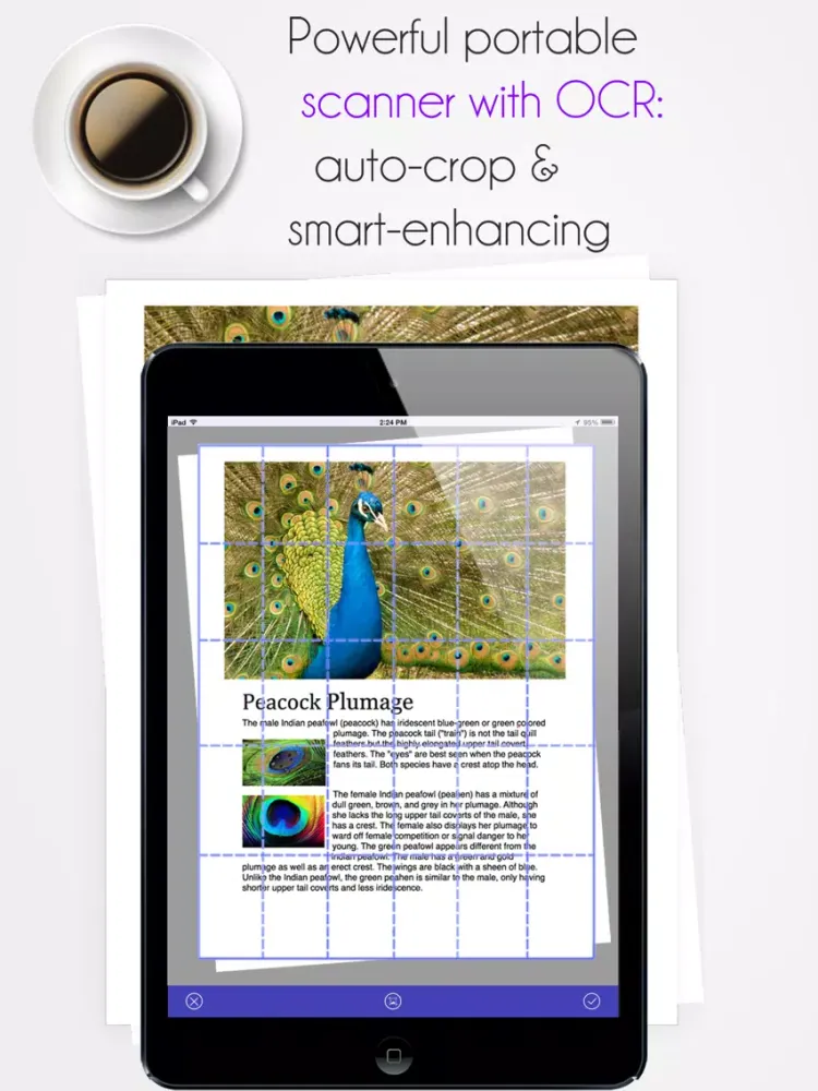 Super Scanner: Multipage PDF Scanner with OCR and PDF Annotation iPad Screenshots