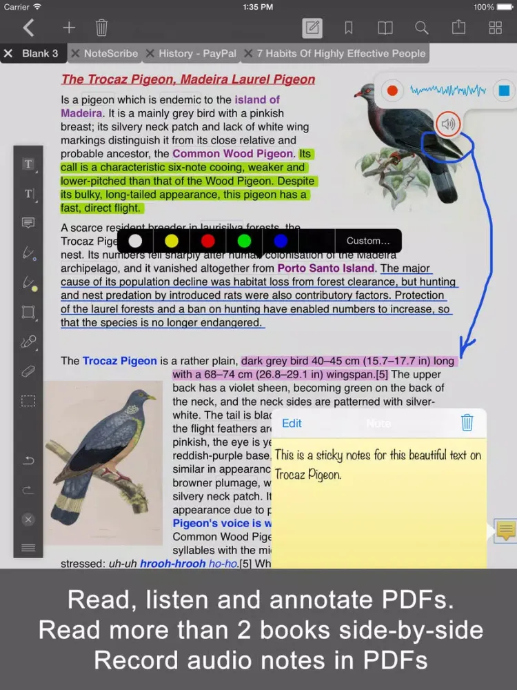 Скриншоты PDF Editor with Word Processor & Sketch pad iPad 