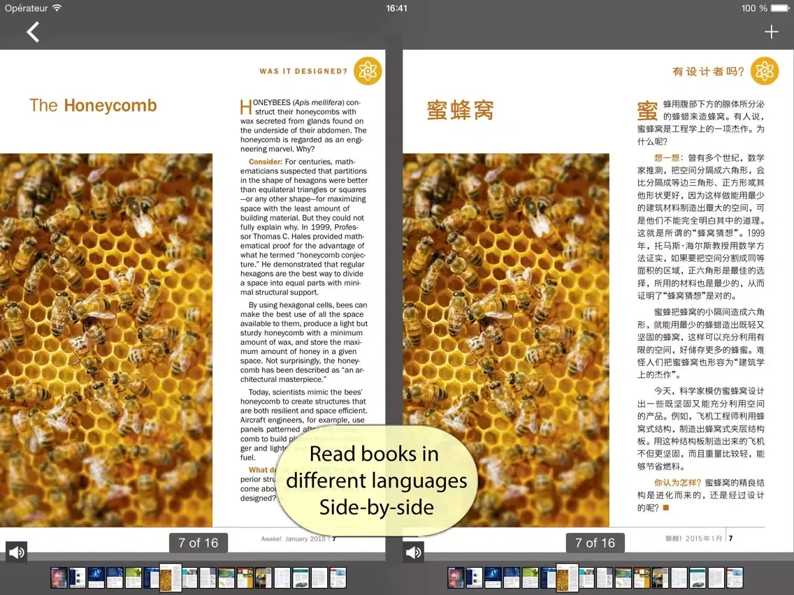 Скриншоты PDF Editor with Word Processor & Sketch pad iPad 