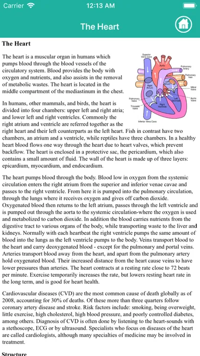 Ảnh chụp màn hình của Anatomy : Circulatory System
