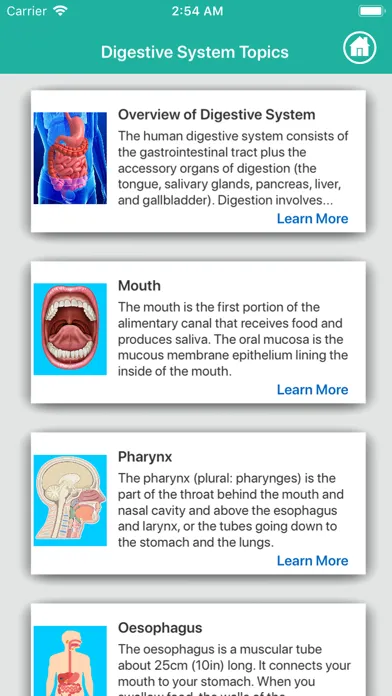 Anatomy : Digestive System スクリーンショット