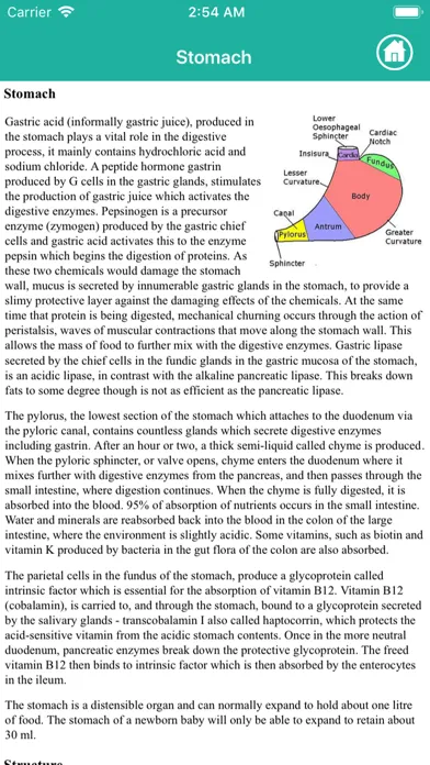 Anatomy : Digestive System スクリーンショット