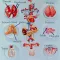 Anatomy : Endocrine System