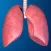 Human Body Parts : Lungs Quiz