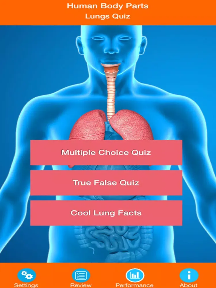 Human Body Parts : Lungs Quiz iPad  Screenshots