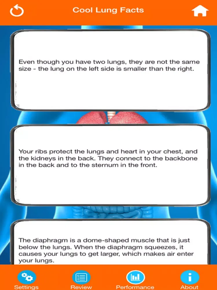 Human Body Parts : Lungs Quiz iPad  Screenshots