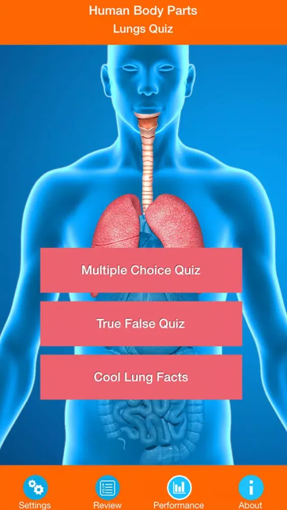Human Body Parts : Lungs Quiz Screenshots