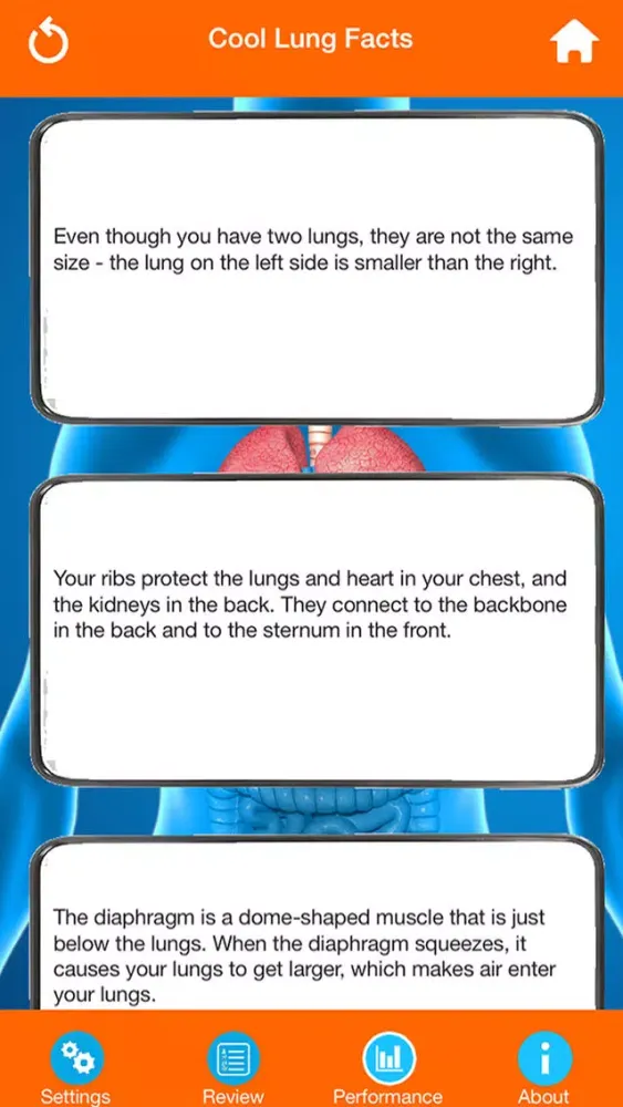 Human Body Parts : Lungs Quiz Screenshots
