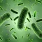 Medical Science : Microbiology Quiz