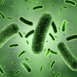 Medical Science : Microbiology Quiz Medical Science : Microbiology Quiz