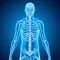 Skeletal System Medical Terms