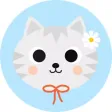 Cat Catcher Pro