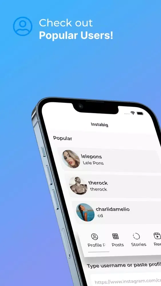 Ảnh chụp màn hình của Instabig: Reels Photo Video
