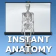 Anatomy Topics in Focus
